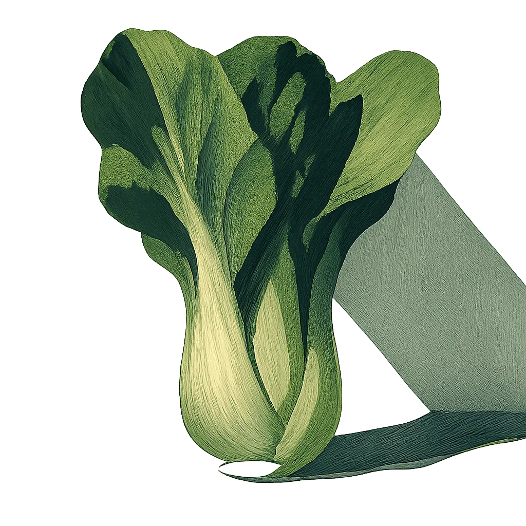 Baby bok choy
